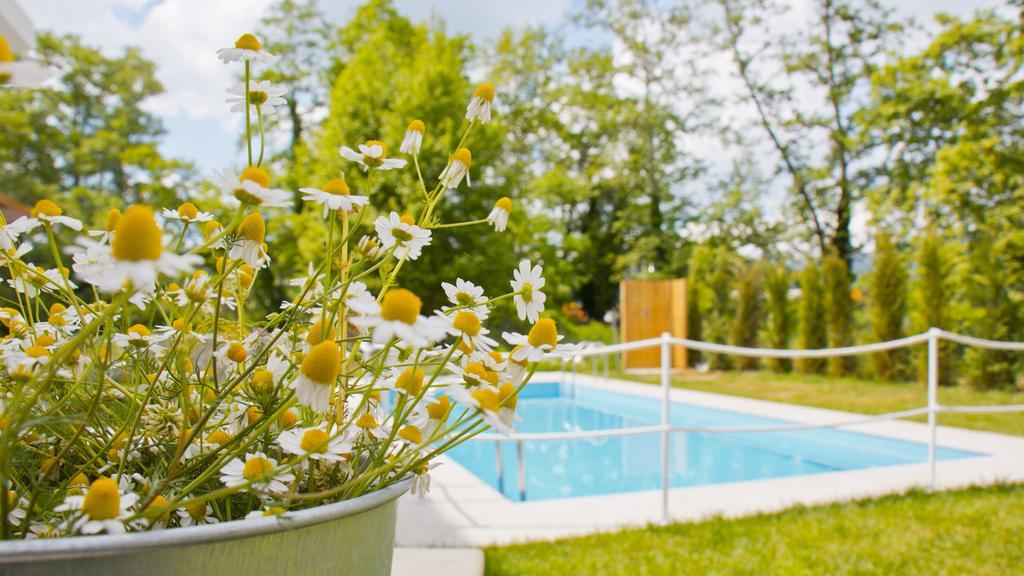 Aristotelia Gi Ikies - Olympiada Poolside Retreats Exteriér fotografie